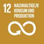 SDG icon DE 12